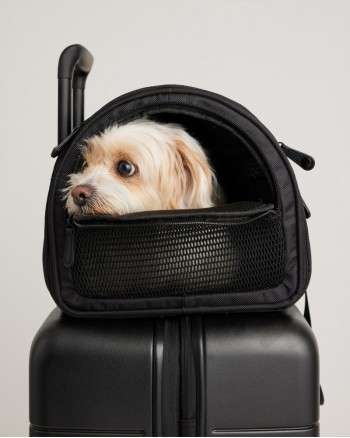 Pet Travel Carrier - Black