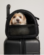 Pet Travel Carrier - Black